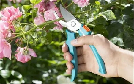 Комплект садовых инструментов Gardena Classic Ergo (арт.8950, 8754, 11511) с ковшом (08966-30.000.00)