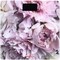 Фото - Ваги підлогові Ardesto SCB-965PEONIES | click.ua