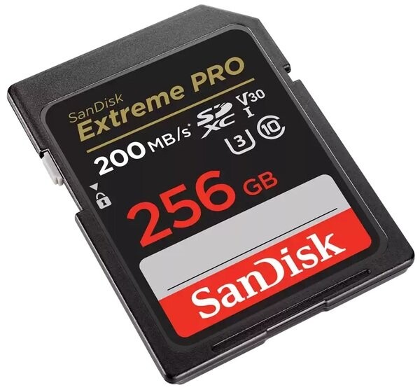 Карта памяти SDXC 256GB UHS-I/U3 Class 10 SanDisk Extreme Pro V30 R200/W140MB/s 4K (SDSDXXD-256G-GN4IN)