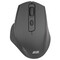 Фото - Мышь беспроводная 2E MF2010 WL Black (2E-MF2010WB) | click.ua