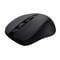 Фото - Мышь беспроводная Trust Mydo Silent Wireless Black (25084) | click.ua