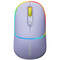 Фото - Миша бездротова Canyon MW-22 Dual Band RGB Wireless Mountain Lavender (CNS-CMSW22ML) | click.ua