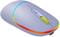 Фото - Миша бездротова Canyon MW-22 Dual Band RGB Wireless Mountain Lavender (CNS-CMSW22ML) | click.ua