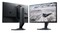 Фото - Монiтор Dell 24.5" AW2524HF (210-BJPH) IPS Black 500Hz | click.ua