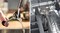 Фото - Блендер Bosch MSM6M8X1 | click.ua
