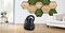 Фото - Пылесос Bosch BGBS2BA1P | click.ua