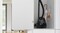 Фото - Пылесос Bosch BGBS2BA1P | click.ua