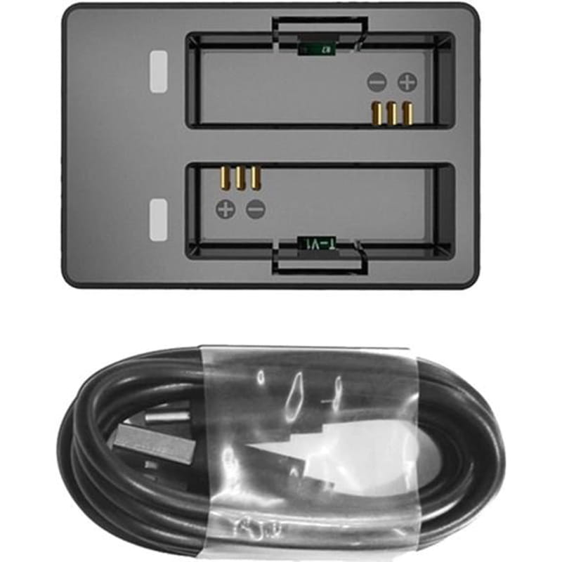 Двойное зарядное устройство для SJCAM для SJ4000/SJ5000/M10 (SJ-charger-4000)