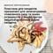 Фото - Мультимейкер Braun SnackMaker 5 SM5005 | click.ua