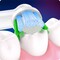 Фото - Насадка для зубної щітки Braun Oral-B Pro Precision Clean EB20RX Clean Maximiser (2 шт) | click.ua
