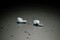 Фото - Bluetooth-гарнітура Asus ROG Cetra True Wireless SpeedNova White (90YH03Y0-BTUA10) | click.ua