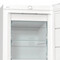 Фото - Морозильна камера Gorenje FN619EEW5 | click.ua