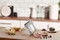 Фото - Мiксер Gorenje M450XG | click.ua