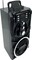 Фото - Акустическая система Media-Tech Black (MT3150) | click.ua