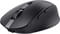 Фото - Мышь беспроводная Trust Ozaa Compact Black (24819) | click.ua