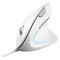 Фото - Мышь Trust Verto Ergonomic White (25133) | click.ua