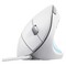 Фото - Мышь Trust Verto Ergonomic White (25133) | click.ua