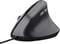 Фото - Мышь Trust Bayo 2 Ergonomic Black (25144) | click.ua
