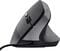 Фото - Мышь Trust Bayo 2 Ergonomic Black (25144) | click.ua