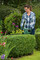 Фото - Кусторез Bosch EasyHedgeCut 55 (0.600.847.C02) | click.ua