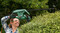 Фото - Кусторез Bosch EasyHedgeCut 55 (0.600.847.C02) | click.ua
