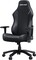 Фото - Крісло для геймерів Anda Seat Luna Size L Black (AD18-44-B-PV/C) | click.ua