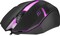 Фото - Мышь Defender Hit MB-550 Black (52550) | click.ua