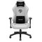 Фото - Крісло для геймерів Anda Seat Phantom 3 Size L Grey (AD18Y-06-G-F) | click.ua