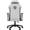 Фото - Крісло для геймерів Anda Seat Phantom 3 Size L Grey (AD18Y-06-G-F) | click.ua