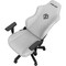 Фото - Крісло для геймерів Anda Seat Phantom 3 Size L Grey (AD18Y-06-G-F) | click.ua