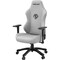 Фото - Крісло для геймерів Anda Seat Phantom 3 Size L Grey (AD18Y-06-G-F) | click.ua