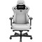 Фото - Крісло для геймерів Anda Seat Kaiser 3 Size L Fabric Grey (AD12YDC-L-01-G-PV/F) | click.ua