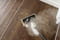 Фото - Пароочисник Karcher SC 1 Multi & Up (1.516-410.0) | click.ua
