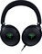Фото - Гарнитура Razer Kraken V4 X (RZ04-05180100-R3M1) | click.ua