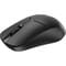 Фото - Мышь беспроводная Rapoo 1510 Wireless Black | click.ua