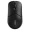 Фото - Мышь беспроводная Rapoo 1510 Wireless Black | click.ua