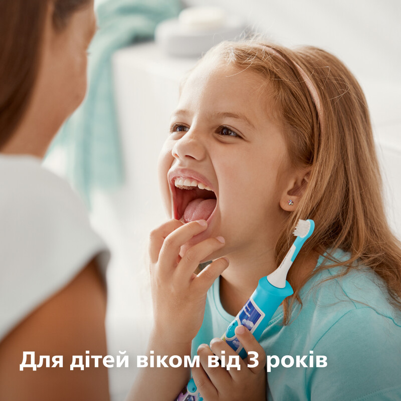 Насадка для зубной щетки Philips HX6032/90