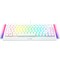 Фото - Клавіатура Razer BlackWidow V4 75% White (RZ03-05001700-R3M1) | click.ua