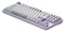 Фото - Клавіатура Dark Project ALU87 Daylight White/Grey (DPKB_DAYLIGHT_87_ANSI_UA) | click.ua