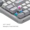 Фото - Клавіатура Dark Project ALU87 Daylight White/Grey (DPKB_DAYLIGHT_87_ANSI_UA) | click.ua