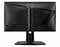 Фото - Монитор MSI 24.5" MAG 255PXF IPS Black 300Hz | click.ua
