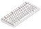Фото - Клавіатура Dark Project ALU81 Terra Nostra White (DPKB_NOSTRA_81_ANSI_WHITE_UA) | click.ua