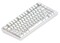 Фото - Клавіатура Dark Project ALU81 Terra Nova White (DPKB_NOVA_81_ANSI_WHITE_UA) | click.ua