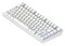 Фото - Клавіатура Dark Project ALU81 Terra Nova White (DPKB_NOVA_81_ANSI_WHITE_UA) | click.ua