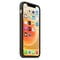 Фото - Чохол-накладка Apple Silicone Case with MagSafe для Apple iPhone 15 Black (MT0J3) | click.ua