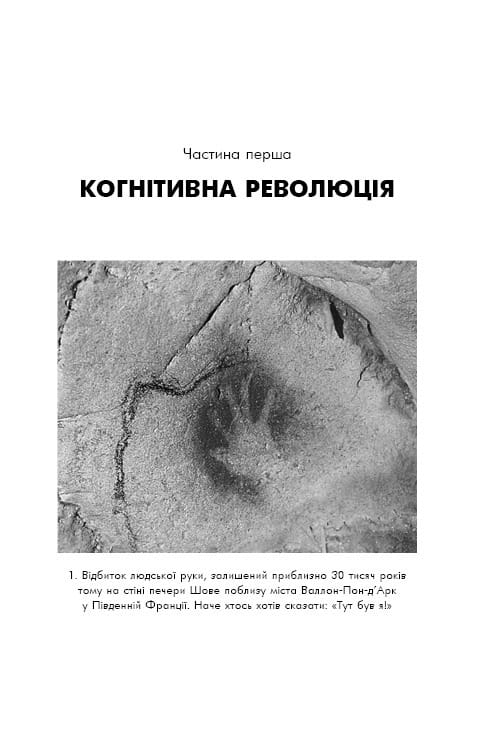 Sapiens: Человек разумный. Краткая история человечества / Ювал Ной Харари