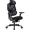 Фото - Крісло для геймерів TX3 Flex Pro Mesh Black (TEGC-3076101.12) | click.ua