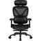 Фото - Крісло для геймерів TX3 XTC Mesh Black (TEGC-3054101.11) | click.ua