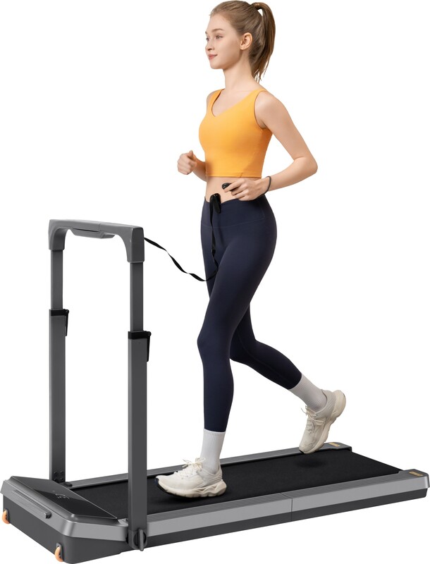 Беговая дорожка KingSmith Treadmill Z3 Hybrid Black (WP400P42)