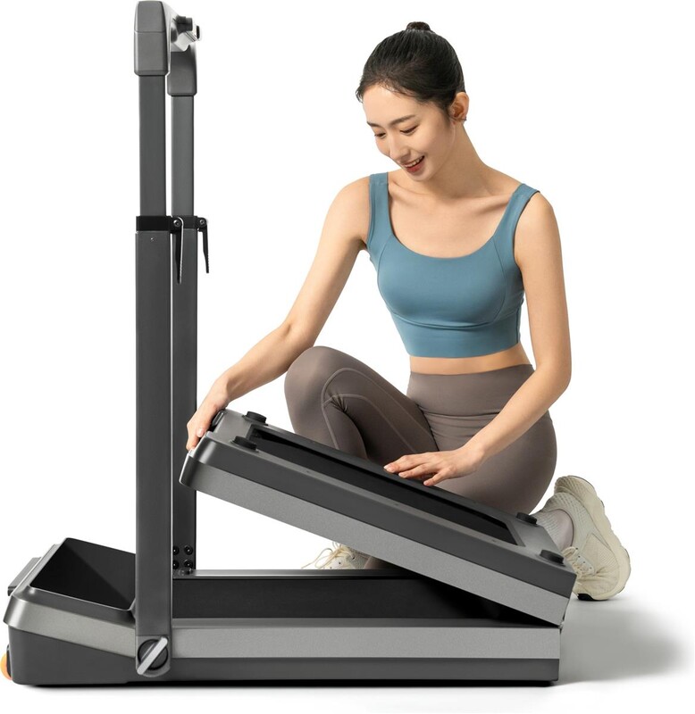 Беговая дорожка KingSmith Treadmill Z3 Hybrid Black (WP400P42)